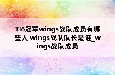 TI6冠军wings战队成员有哪些人 wings战队队长是谁_wings战队成员